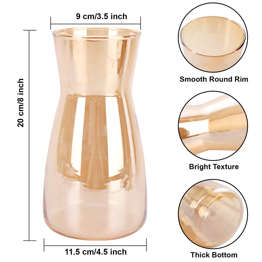 Jarrón de Vidrio Transparente 8" - Estilo Boho Moderno para Decoración del Hogar